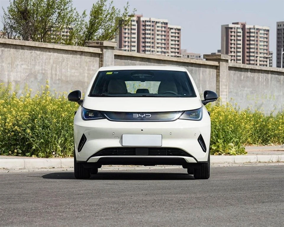 BYD Dolphin Sedan suppliers